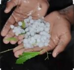 देवगड तालुक्यात अवकाळी पाऊस व गारपीट;