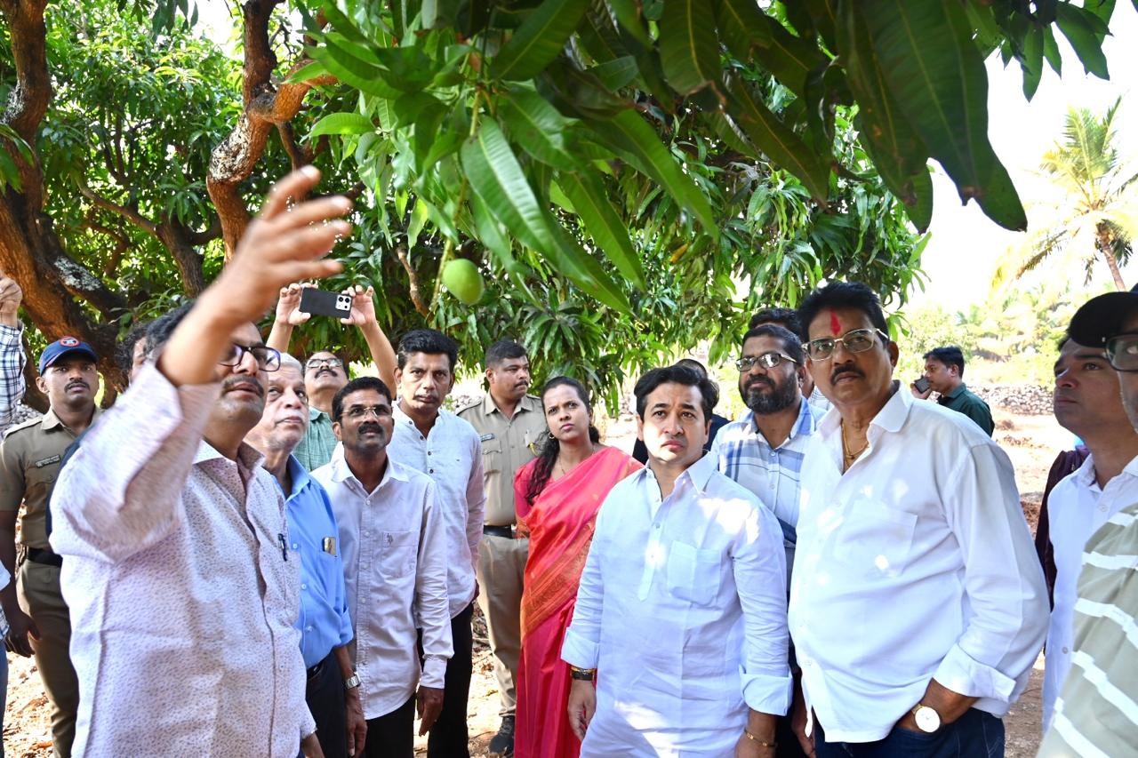 You are currently viewing पालकमंत्री नितेश राणे यांनी केली नुकसानग्रस्त आंबा बागांची पाहणी