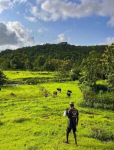 Read more about the article कोकण वाचतला कसा ?