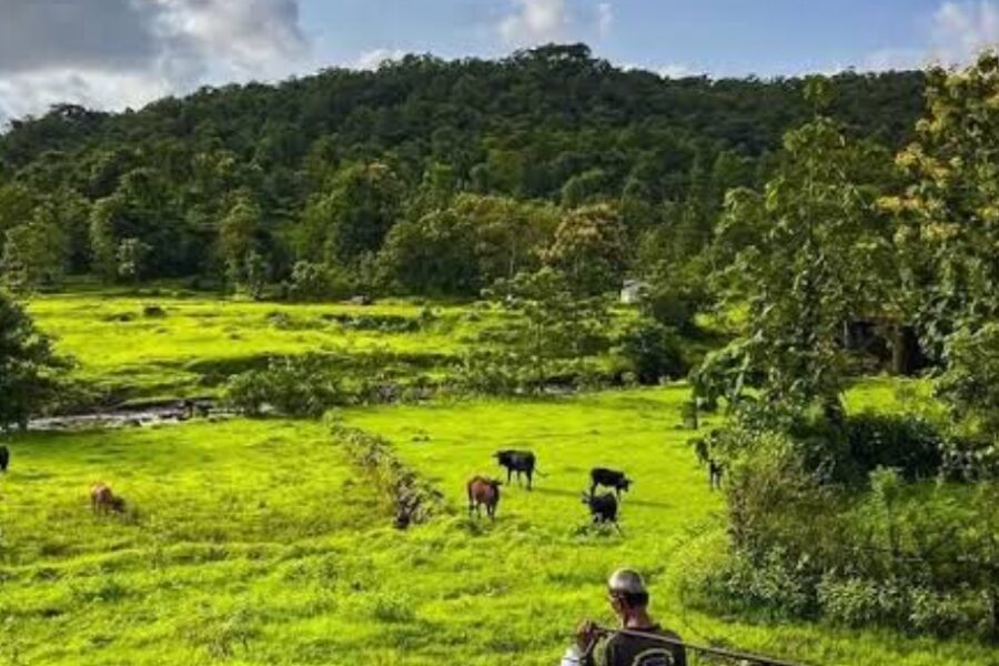 कोकण वाचतला कसा ?