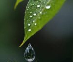 किती गेले पावसाळे