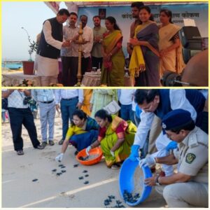 Read more about the article कासव महोत्सवामुळे पर्यटनाला चालना – दीपक केसरकर