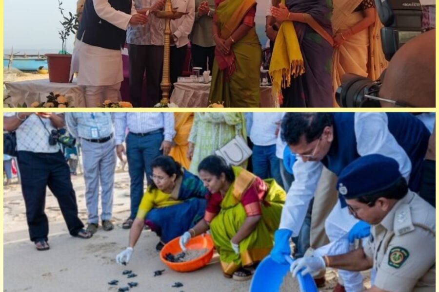 कासव महोत्सवामुळे पर्यटनाला चालना – दीपक केसरकर