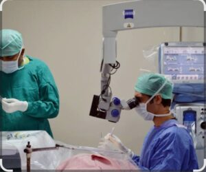 Read more about the article सावंतवाडीत मोफत नेत्र तपासणी व मोतीबिंदू शस्त्रक्रिया शिबिराचे  9 एप्रिल ते 30 मे दरम्यान आयोजन