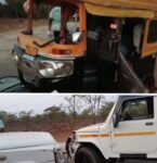 देवगडमध्ये सर्पमित्राला सापाचा दंश; उपचारासाठी जाताना कार अपघात