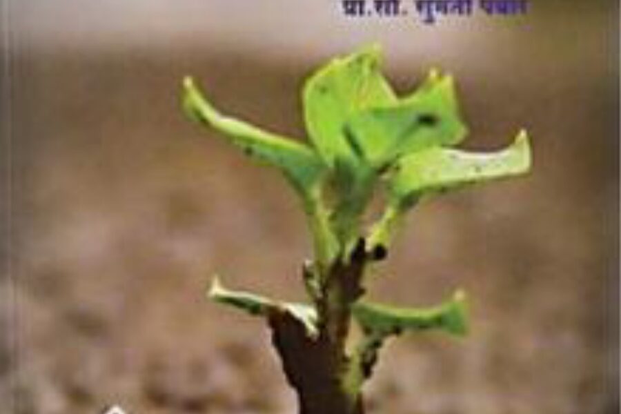 यशस्वी जीवनाचा मंत्र – अप्रतिम