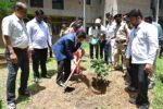 पालकमंत्री नितेश राणे यांच्या हस्ते वृक्षारोपण; जिल्हाभर व्यापक वृक्षलागवड मोहिमेला प्रारंभ