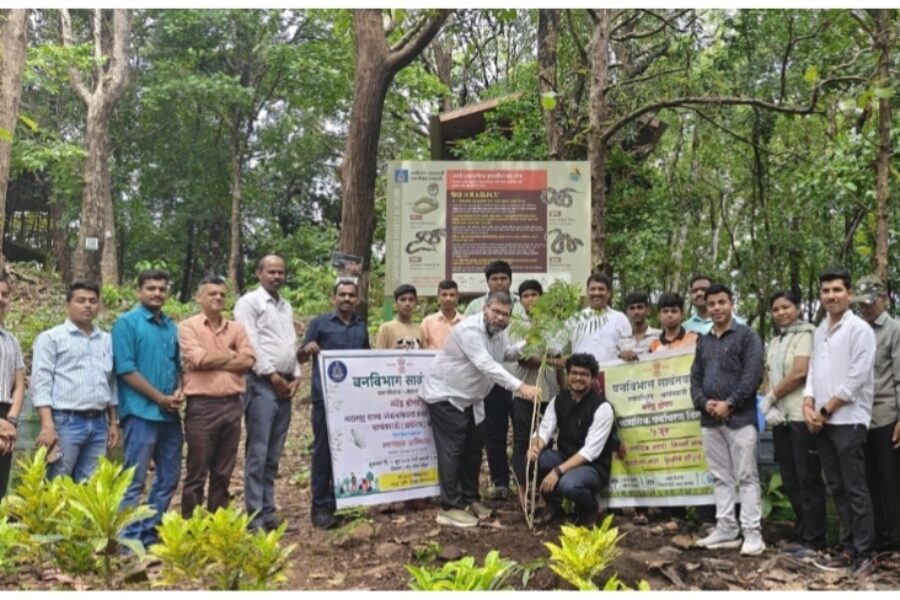 प्लास्टिकमुक्त ‘नरेंद्र डोंगर’ संकल्पनेची सुरुवात; सिंधुदुर्गात ५ हजार वृक्ष लागवडीचा संकल्प