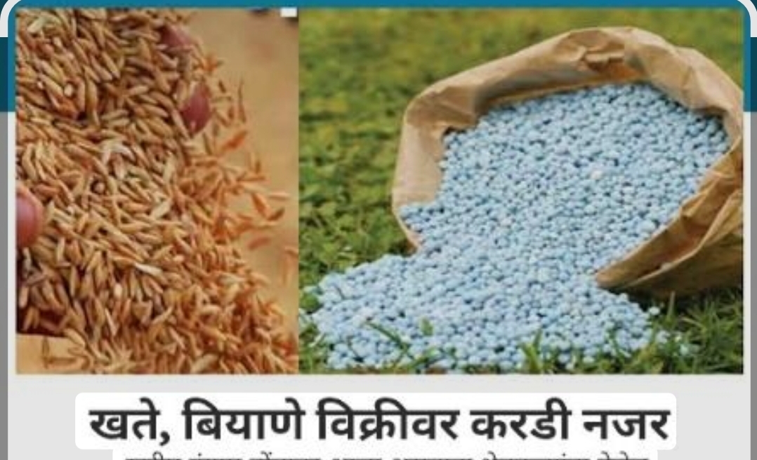 You are currently viewing विनापरवाना खत, बियाणे व किटकनाशक विक्रीप्रकरणी गुन्हा दाखल;