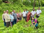 वागदे ग्रामपंचायतीकडून वृक्षारोपण उपक्रम; पालकमंत्री नितेश राणे यांच्या वाढदिवसानिमित्त हरित संदेश