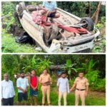 गोमांससदृश्य मांसाने भरलेली इर्टिगा पलटी; चालक ताब्यात