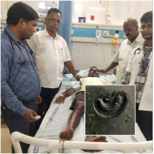 Read more about the article तळवडेत घनस सापाच्या दंशाने शेतमजूर गंभीर; प्राथमिक उपचारानंतर गोवा बांबुळीला हलविले