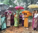 भटवाडी महापुरुष परिसर येथे कृषी दिनानिमित्त वडाचे झाड लावले