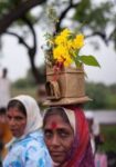 जाऊ वारीला