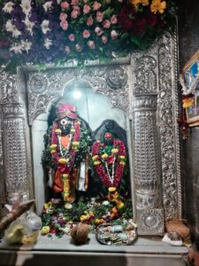 Read more about the article माऊली…..