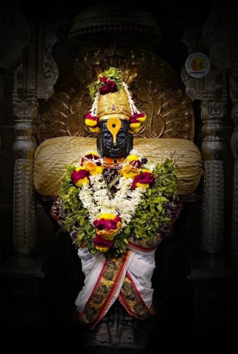 You are currently viewing त्याचा वेगळाच थाट