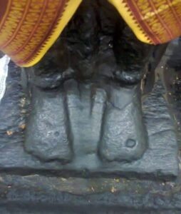 Read more about the article विठ्ठलाच्या पायी