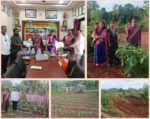 सेंद्रिय पोषण परसबागेतून ‘ॲनिमिया मुक्त गाव’ संकल्पनेकडे परुळे बाजारची वाटचाल
