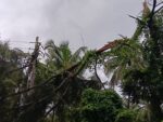 वादळ आणि पावसामुळे ६७ गावांमधील वीज पुरवठा बाधित