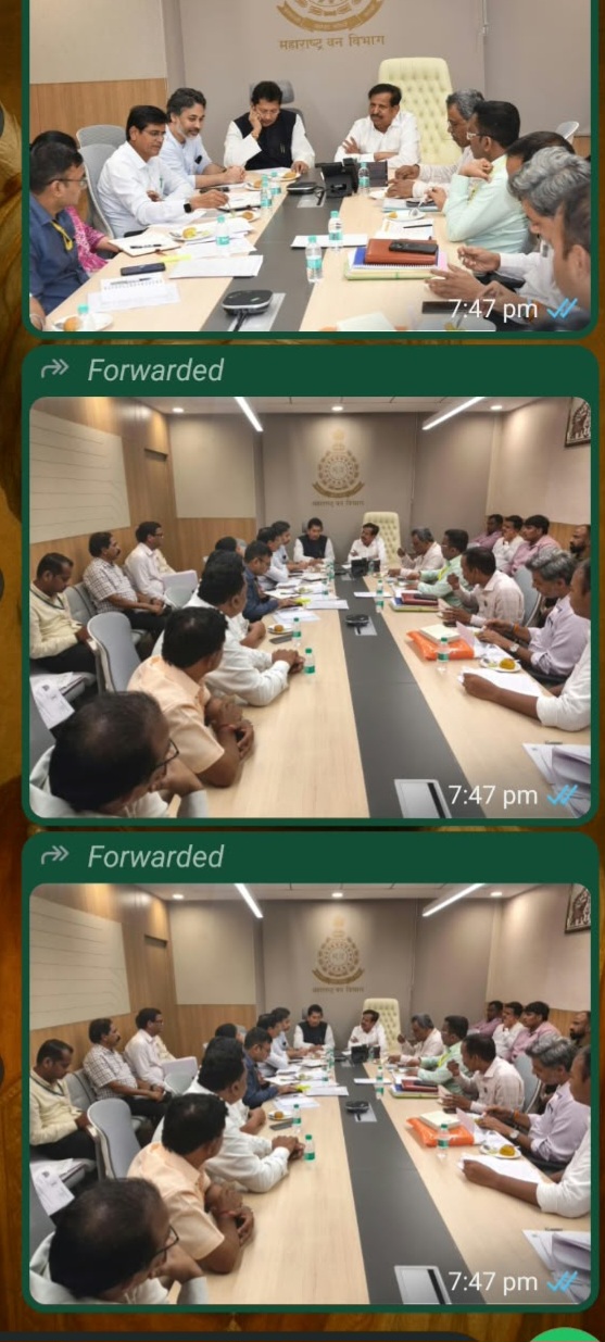 You are currently viewing हत्ती व वन्यप्राण्यांच्या नुकसानीची भरपाई वाढणार; तिलारीत हत्ती अधिवासासाठी १२ कोटींची तरतूद