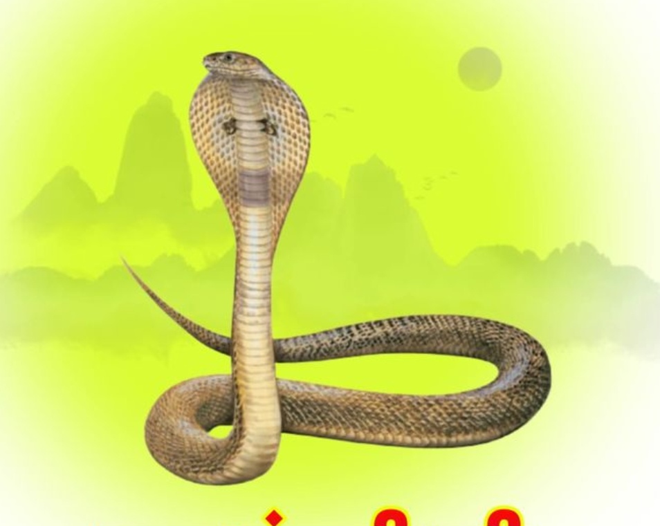 You are currently viewing नागपंचमी