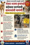 मोकाट भटक्या कुत्र्यांचाही बंदोबस्त करण्याची ग्रामस्थांची मागणी