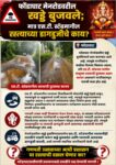 फोंडाघाट मेनरोडवरील खड्डे बुजवले; मात्र एस.टी. स्टँडमागील रस्त्याच्या डागडुजीचे काय?