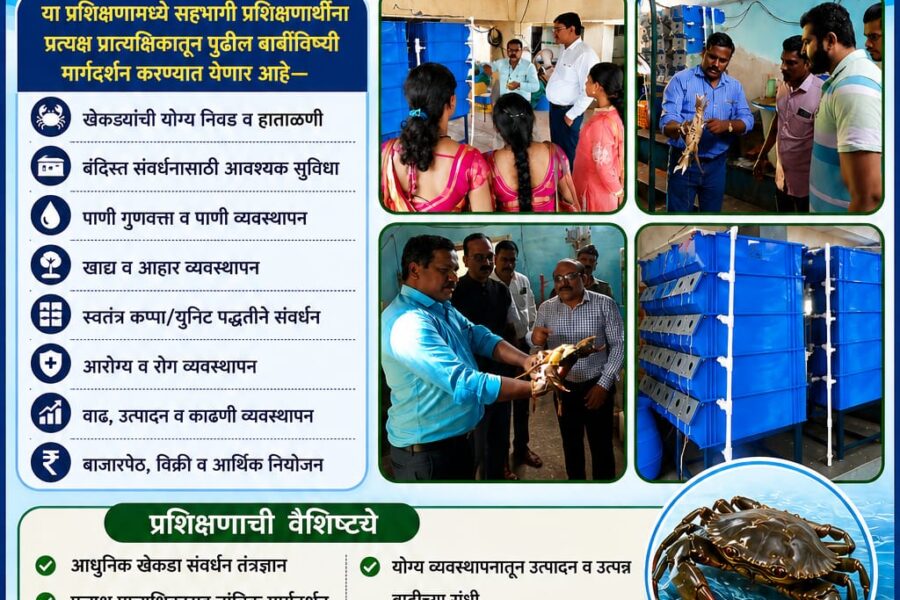 आधुनिक पद्धतीने बंदिस्त खेकडा संवर्धनाचे पडेलमध्ये प्रशिक्षण