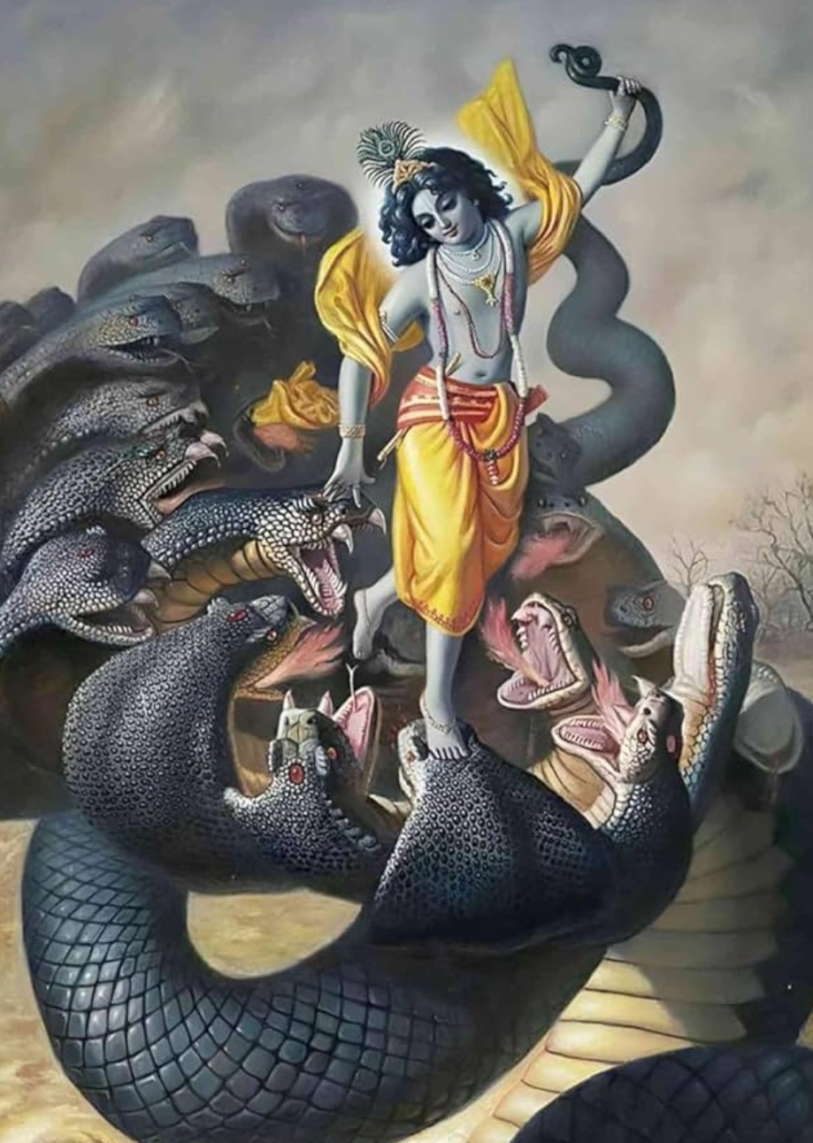 You are currently viewing कृष्ण सखा