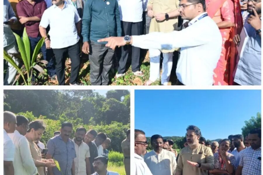 कुडाळ तालुक्यातील भातशेतीचे मोठे नुकसान; निलेश राणेंकडून बांधावर जाऊन पाहणी
