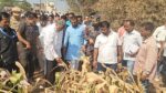 सांगली जिल्ह्यातील सर्व तालुक्यांचा दुष्काळी तालुक्यांत समावेश; शेतकऱ्यांना १२ सवलतींचा लाभ मिळणार!
