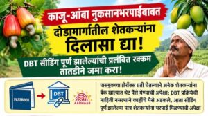 Read more about the article काजू-आंबा नुकसानभरपाईबाबत दोडामार्गातील शेतकऱ्यांना दिलासा द्या!