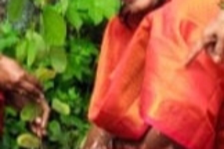 सावली