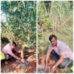 मातोश्रींच्या स्मृती जपत झाडांच्या मुळाशी अर्पण केल्या अस्थी